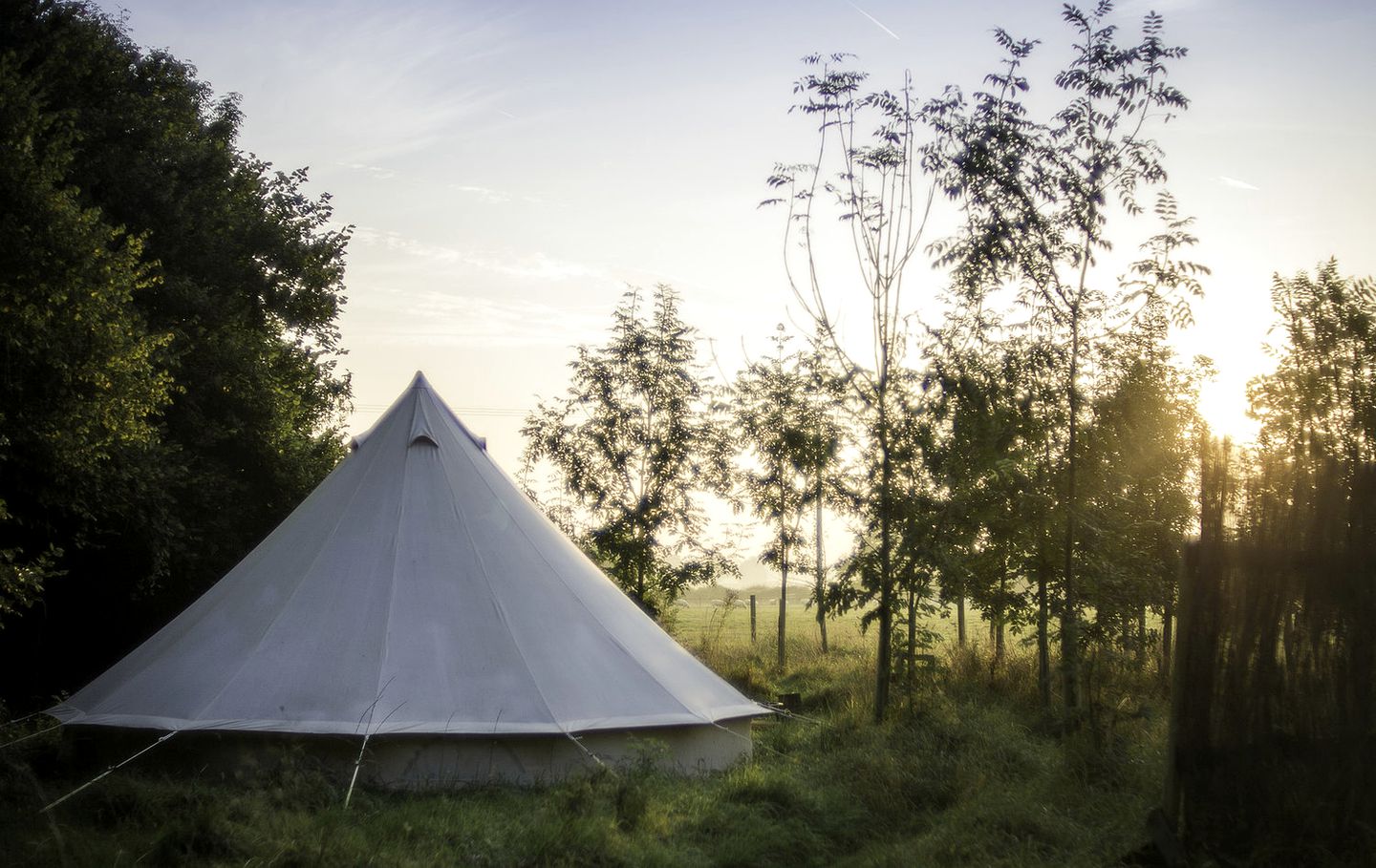 Large Bell Tents with Wood-Burning Stove in Peaceful Woodlands near Bath, England