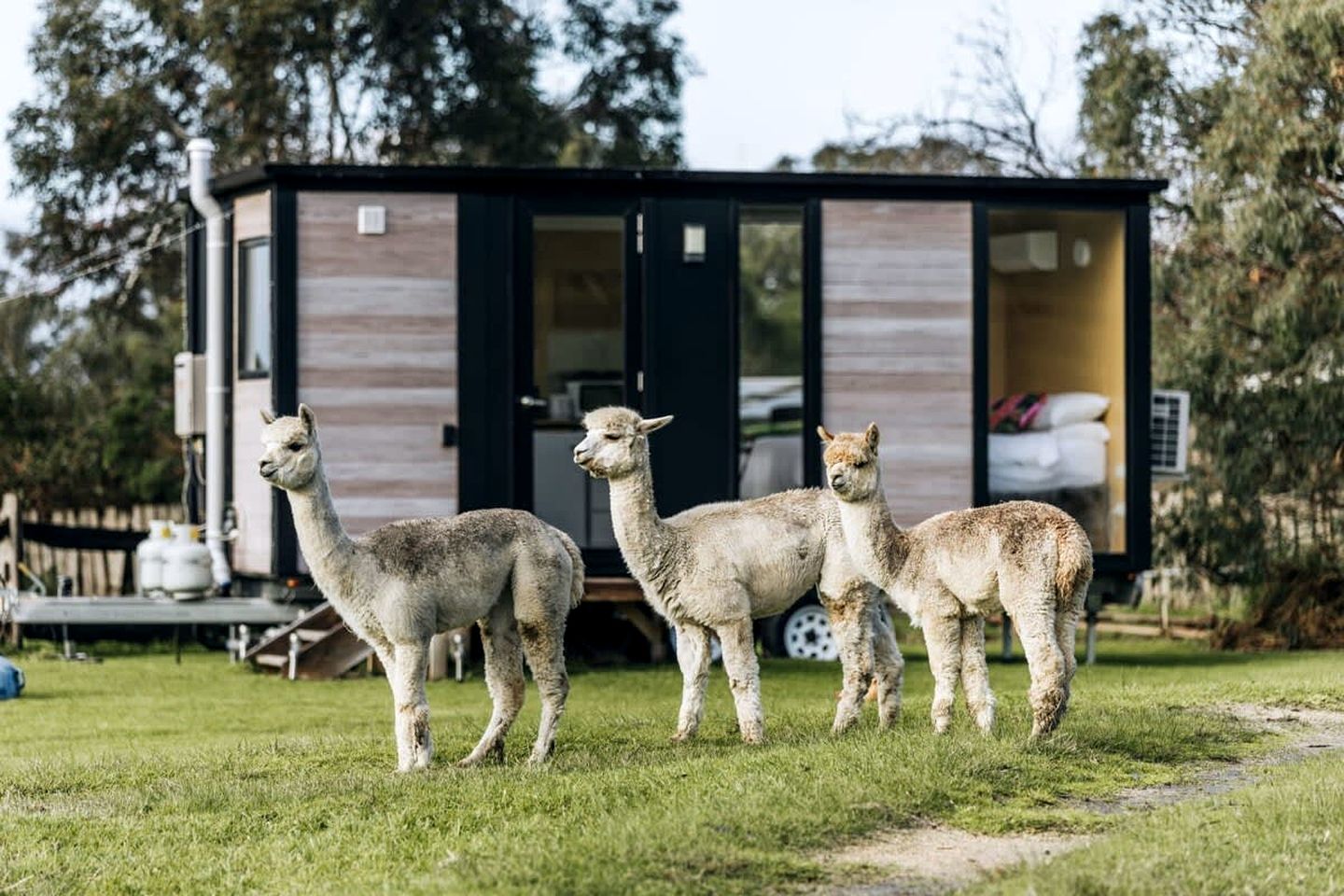 Farm Glamping Stay in Alberton West for Victoria Getaways