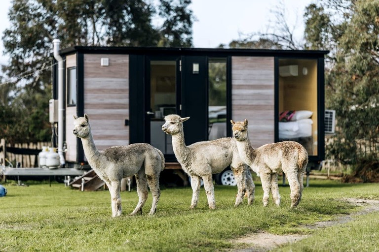 Tiny Houses (Australia, Alberton West, Victoria)
