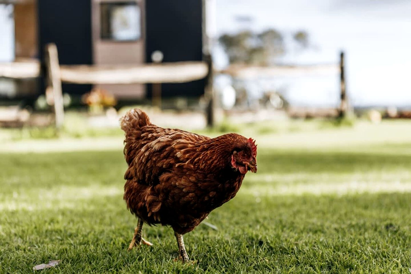 Farm Glamping Stay in Alberton West for Victoria Getaways