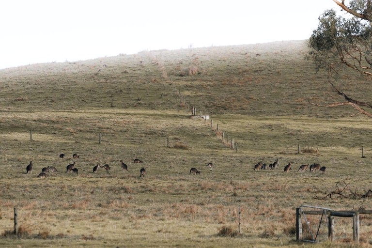 Tiny Houses (Australia, Alberton West, Victoria)