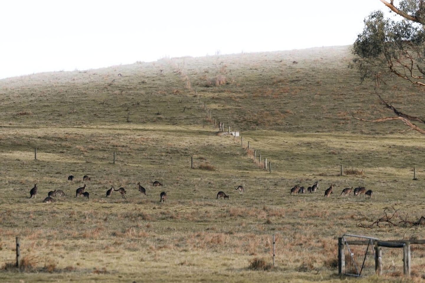 Farm Glamping Stay in Alberton West for Victoria Getaways