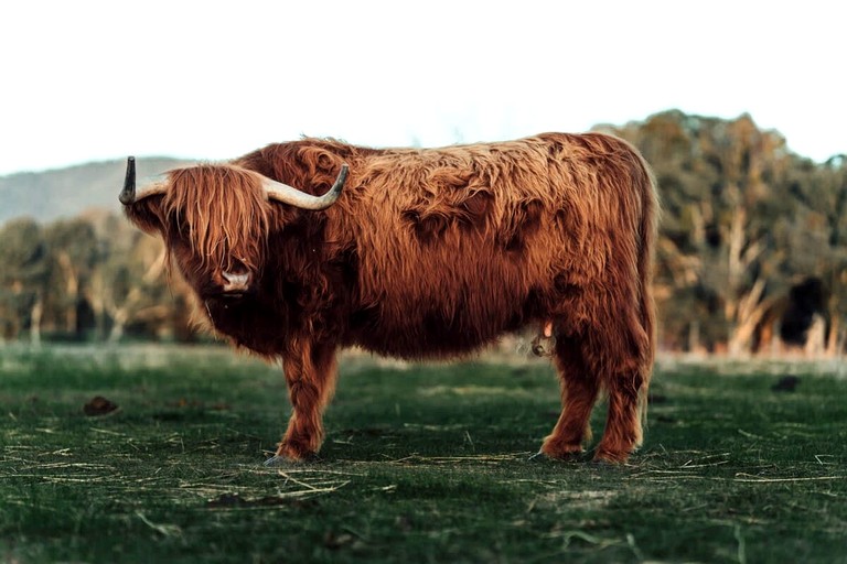 Tiny Houses (Australia, Warrenmang, Victoria)