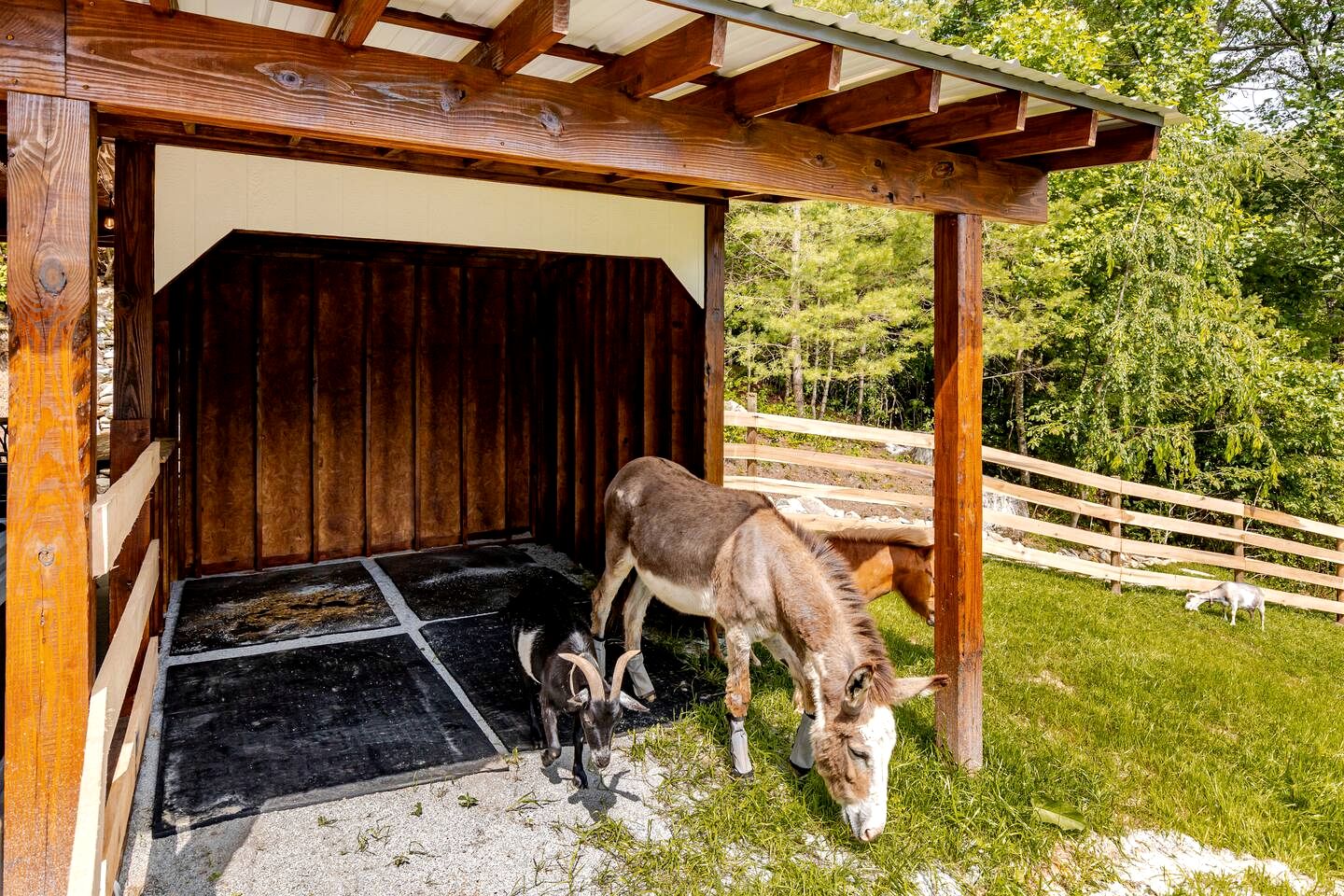 Enchanting Vacation Rental Farmhouse Embraced by Majestic Mountains near the Sparkling River in Lake Toxaway North Carolina