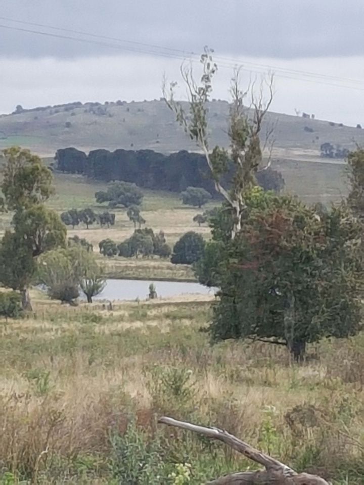 Rustic Tiny House Accommodation in Braidwood Perfect for a Weekend Getaway