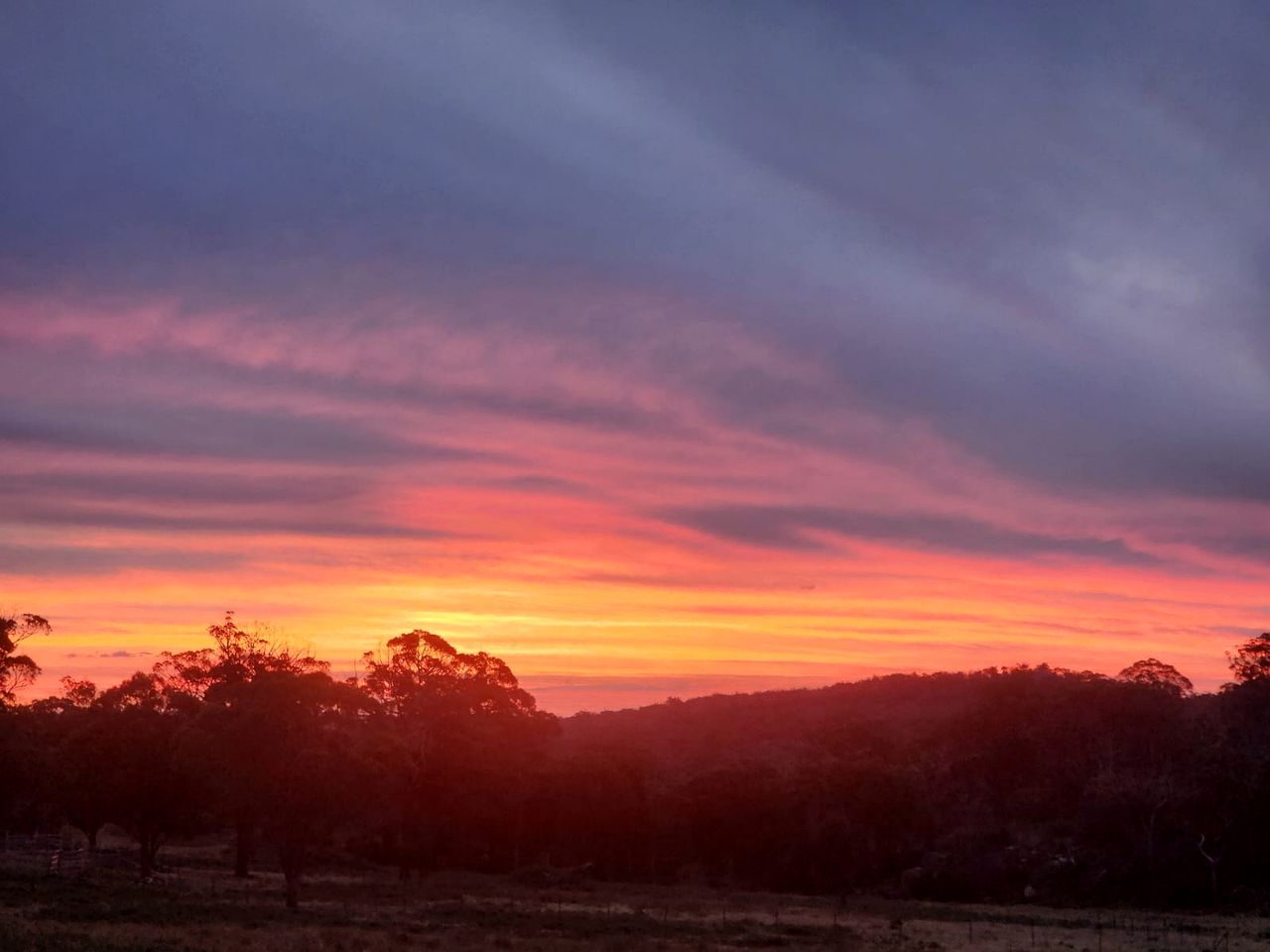 Farm Tiny House Stay Well Equipped in Deepwater, Queensland