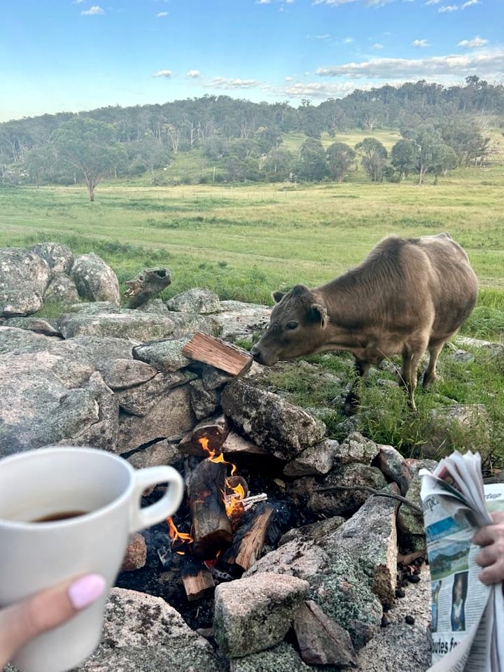 Farm Tiny House Stay Well Equipped in Deepwater, Queensland