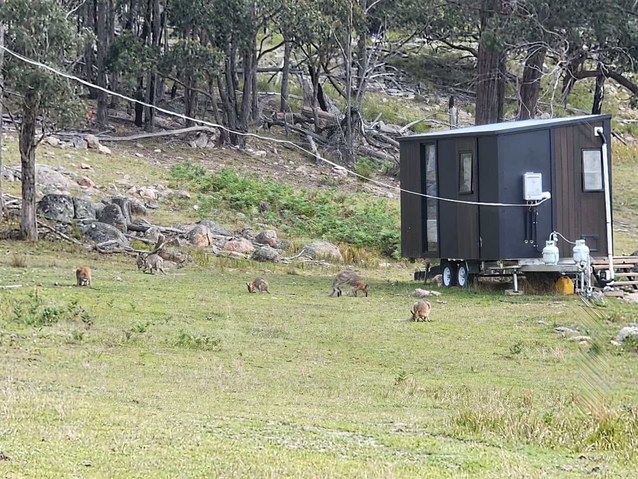 Farm Tiny House Stay Well Equipped in Deepwater, Queensland
