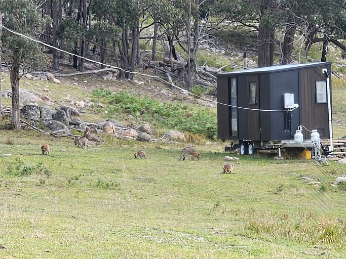 Vacation Rentals (Australia, Deepwater, Queensland)