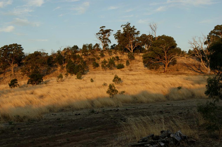 Cottages (Baringhup, Victoria, Australia)