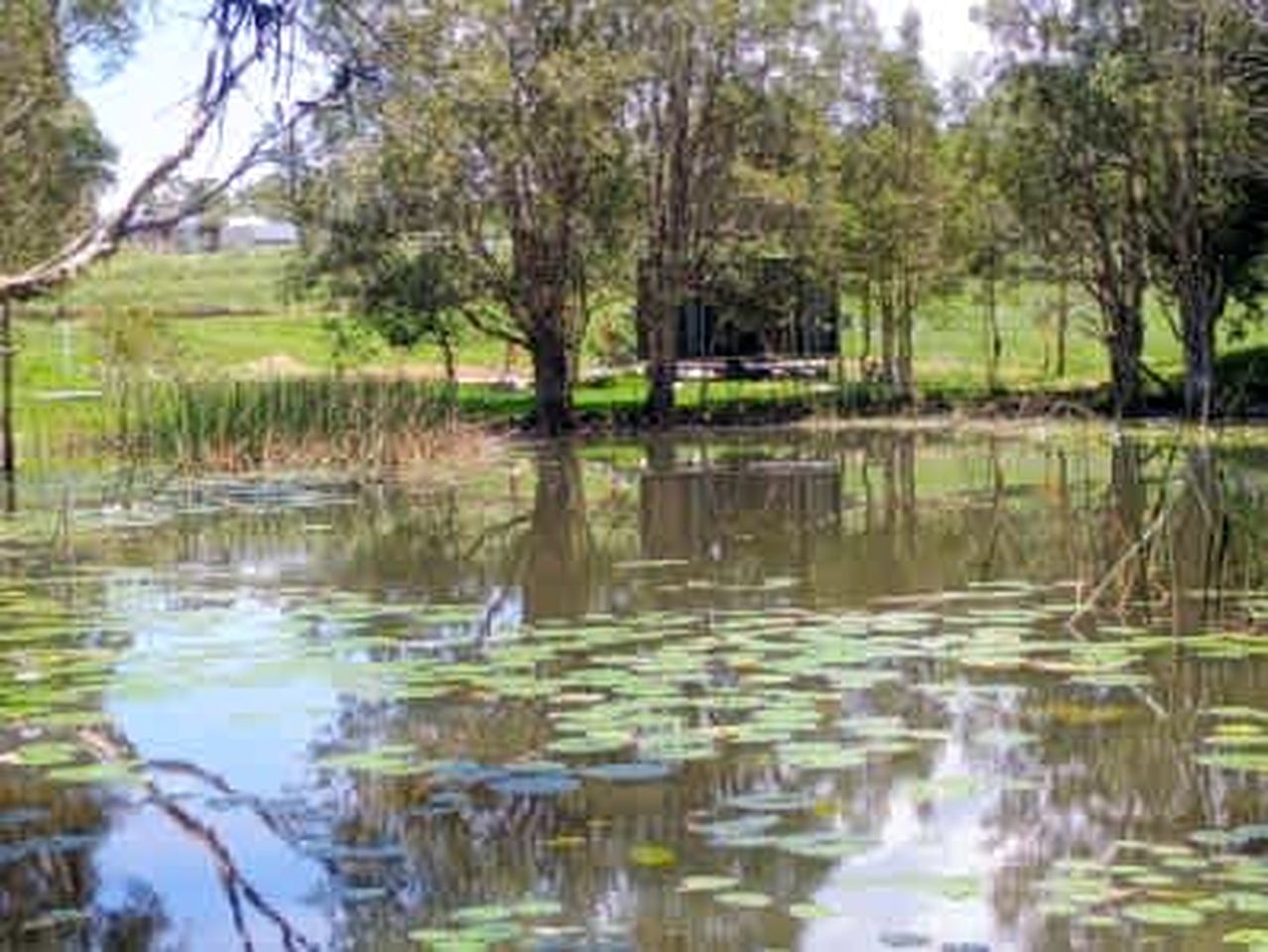 Breathtaking Tiny House Close to Great Hiking Trails in Coffs Harbour, New South Wales