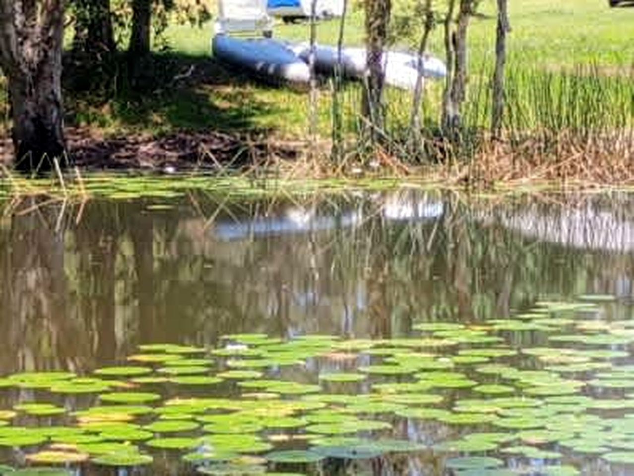 Breathtaking Tiny House Close to Great Hiking Trails in Coffs Harbour, New South Wales