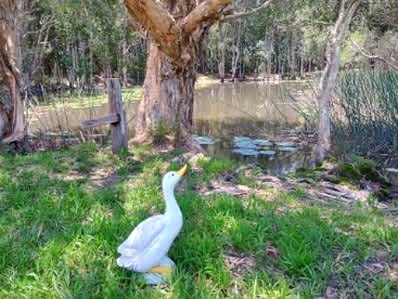 Breathtaking Tiny House Close to Great Hiking Trails in Coffs Harbour, New South Wales - Photo 3