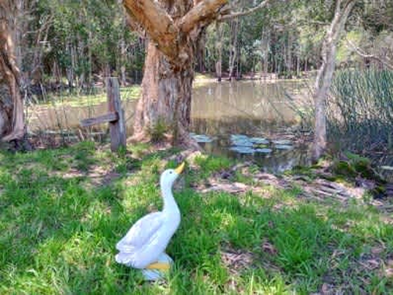 Breathtaking Tiny House Close to Great Hiking Trails in Coffs Harbour, New South Wales