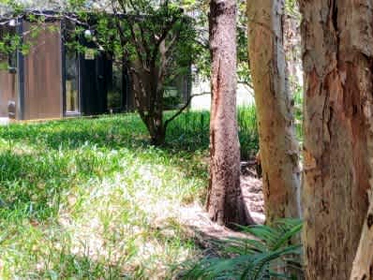 Breathtaking Tiny House Close to Great Hiking Trails in Coffs Harbour, New South Wales