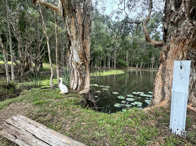 Tiny Houses (Australia, Coffs Harbour, New South Wales)