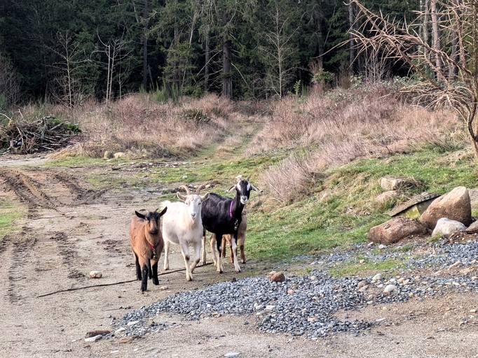 Vacation Rentals (Canada, qathet Regional District, British Columbia)