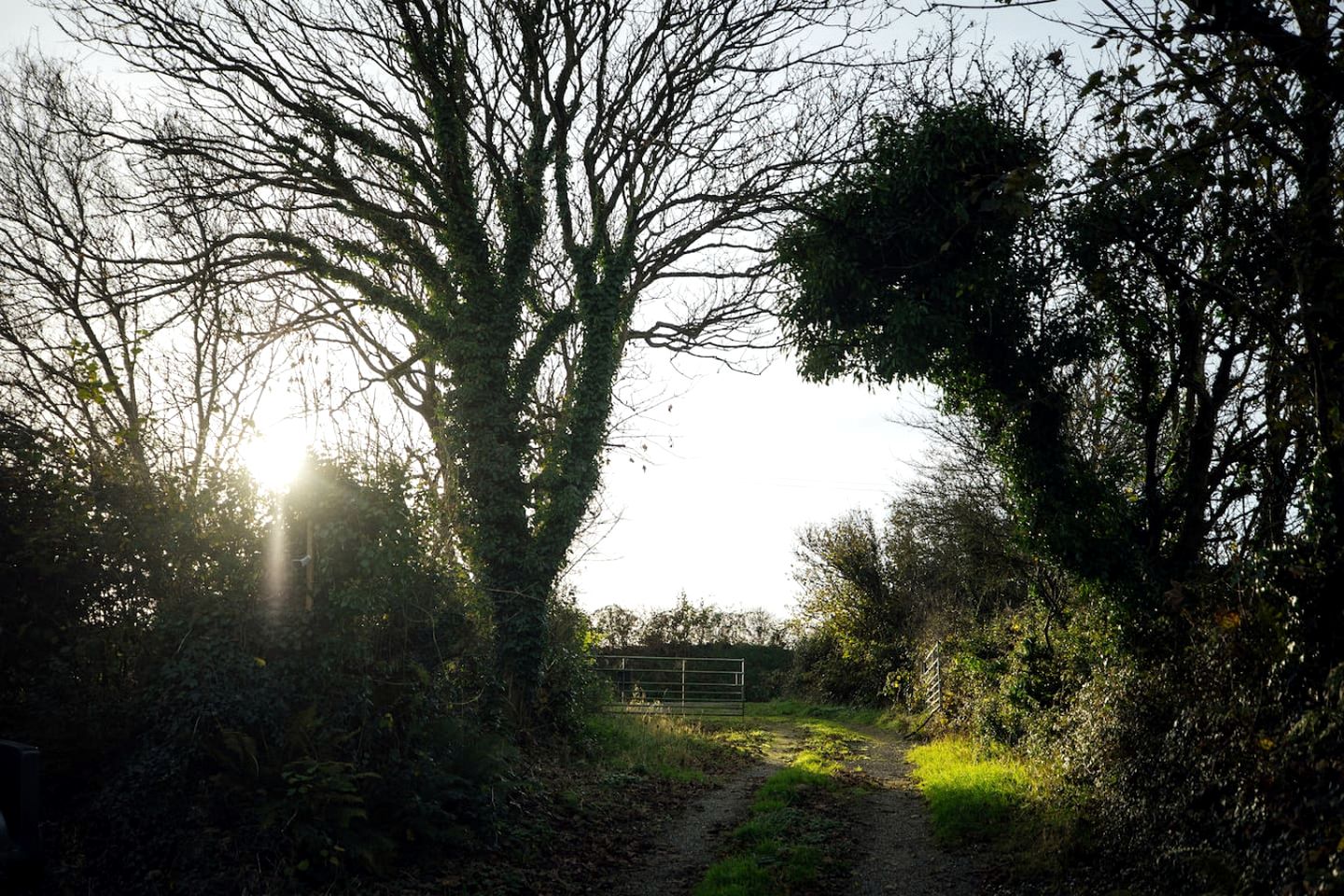 Charming Renovated Farmhouse with Billiard Room & Annex near Pembrokeshire Coast, Wales