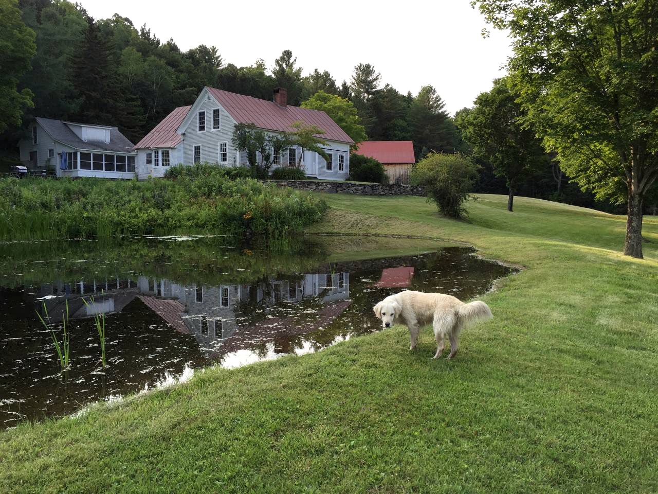 Cabin Rental Nestled on 80-Acres of Meadows Perfect for Large Groups near Green Mountains, Vermont