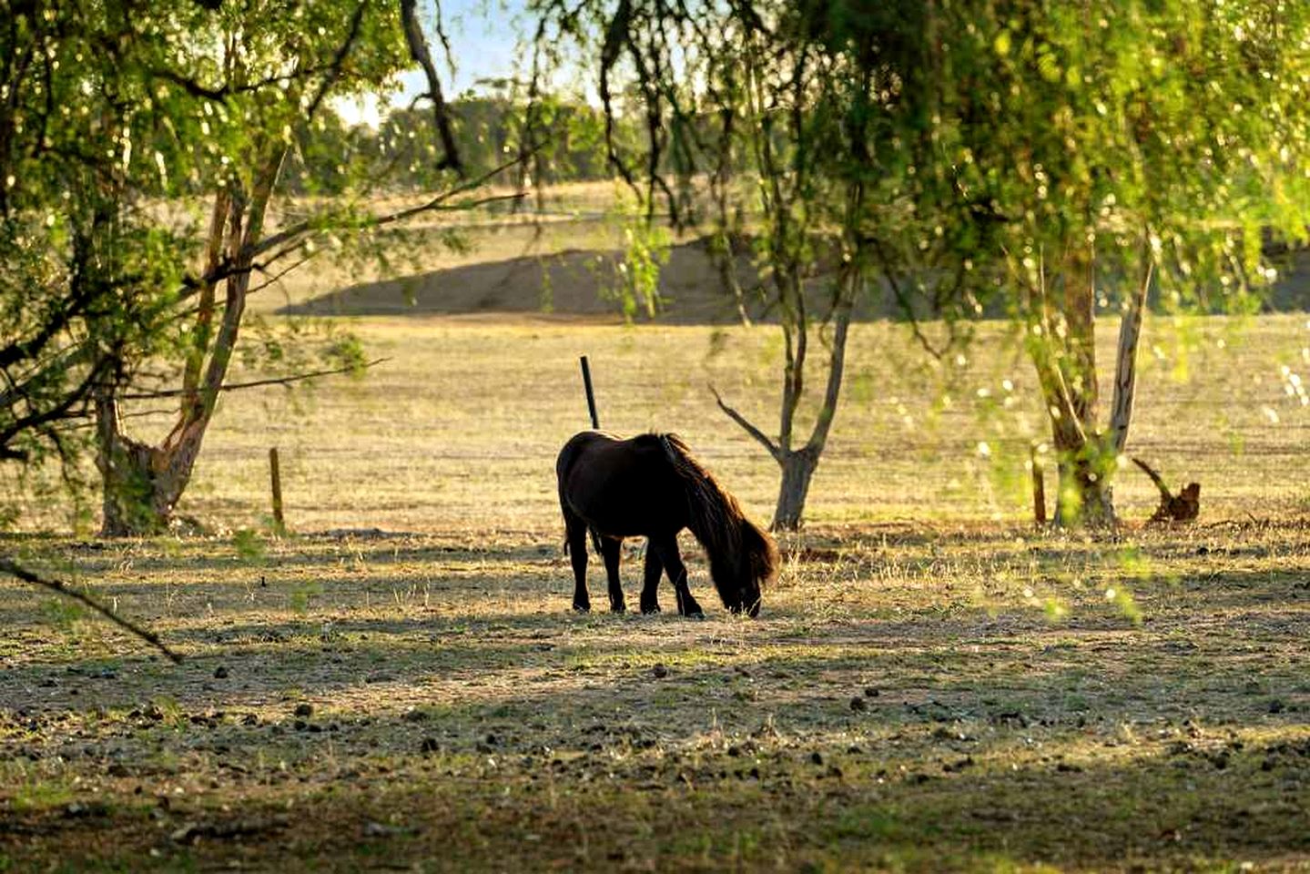 Farmstay Tiny House Glamping in Victoria for a Nature Escape