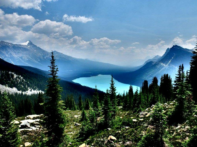 Cabins (Nordegg, Alberta, Canada)