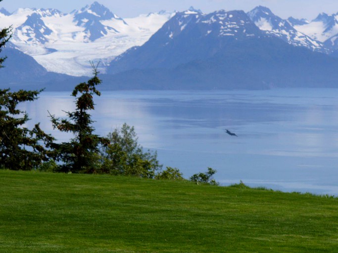 Vacation Rentals (Homer, Alaska, United States)