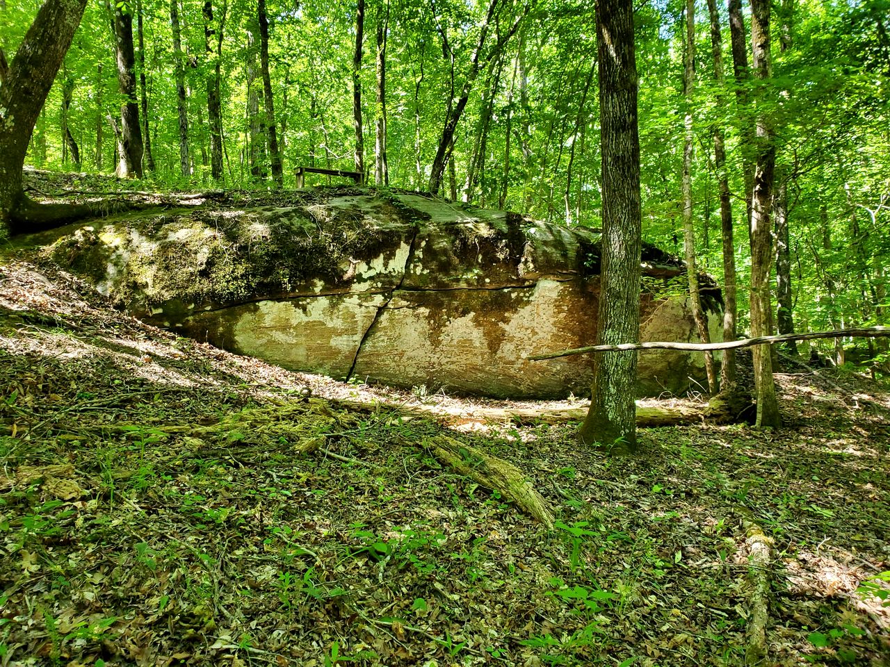 Fiberglass Geodesic Dome on a Hundred Acres of Private Woodlands near Lake Sinclair, Georgia