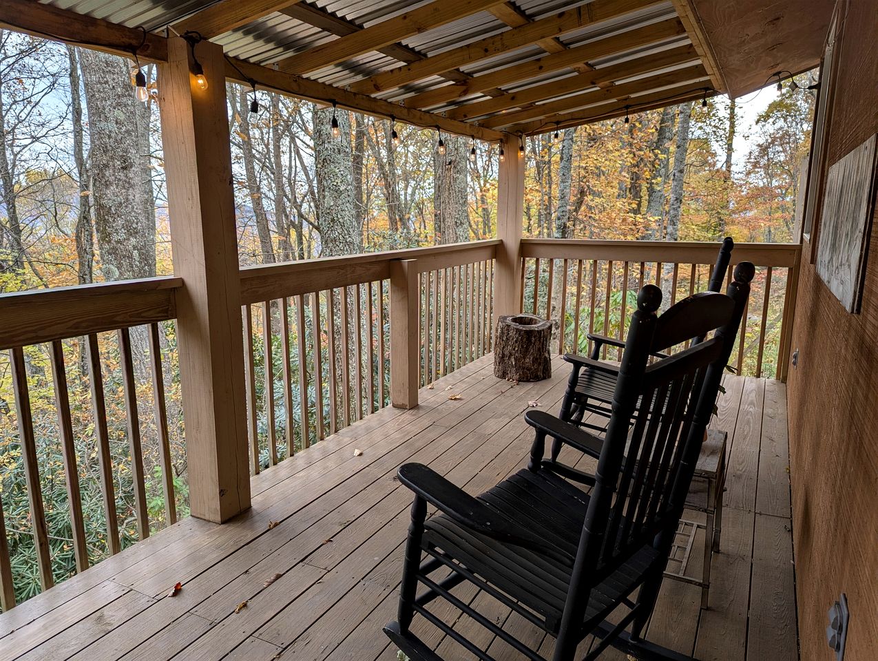 Secluded Mountain Cabin Retreat with Scenic Woodland Views near Black Mountain, NC