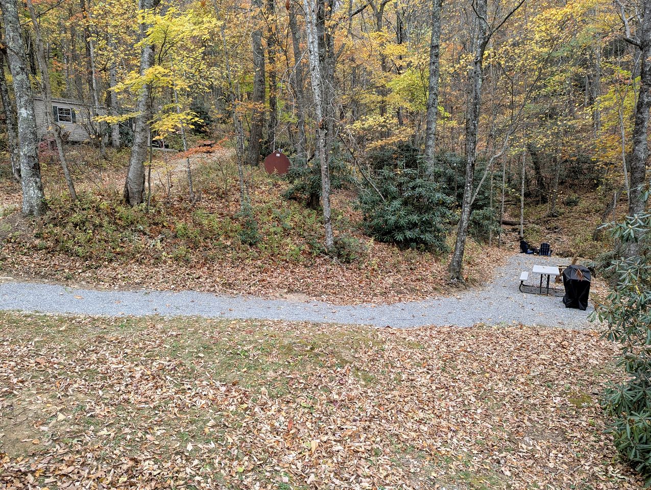 Secluded Mountain Cabin Retreat with Scenic Woodland Views near Black Mountain, NC