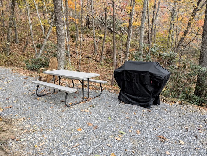 Cabins (United States of America, Black Mountain, North Carolina)