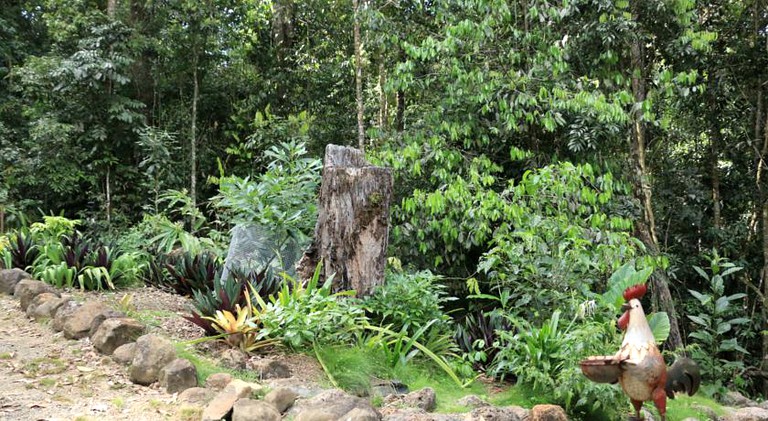 Cabins (Malanda, Queensland, Australia)