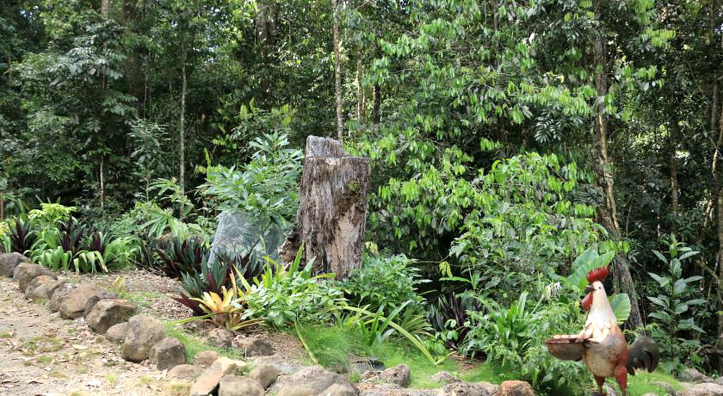 Peaceful Nature Cottage by the River in Malanda, Far North Queensland