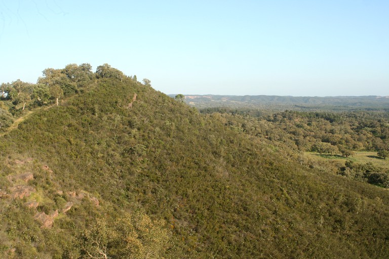 Bell Tents (Odemira, Beja District, Portugal)
