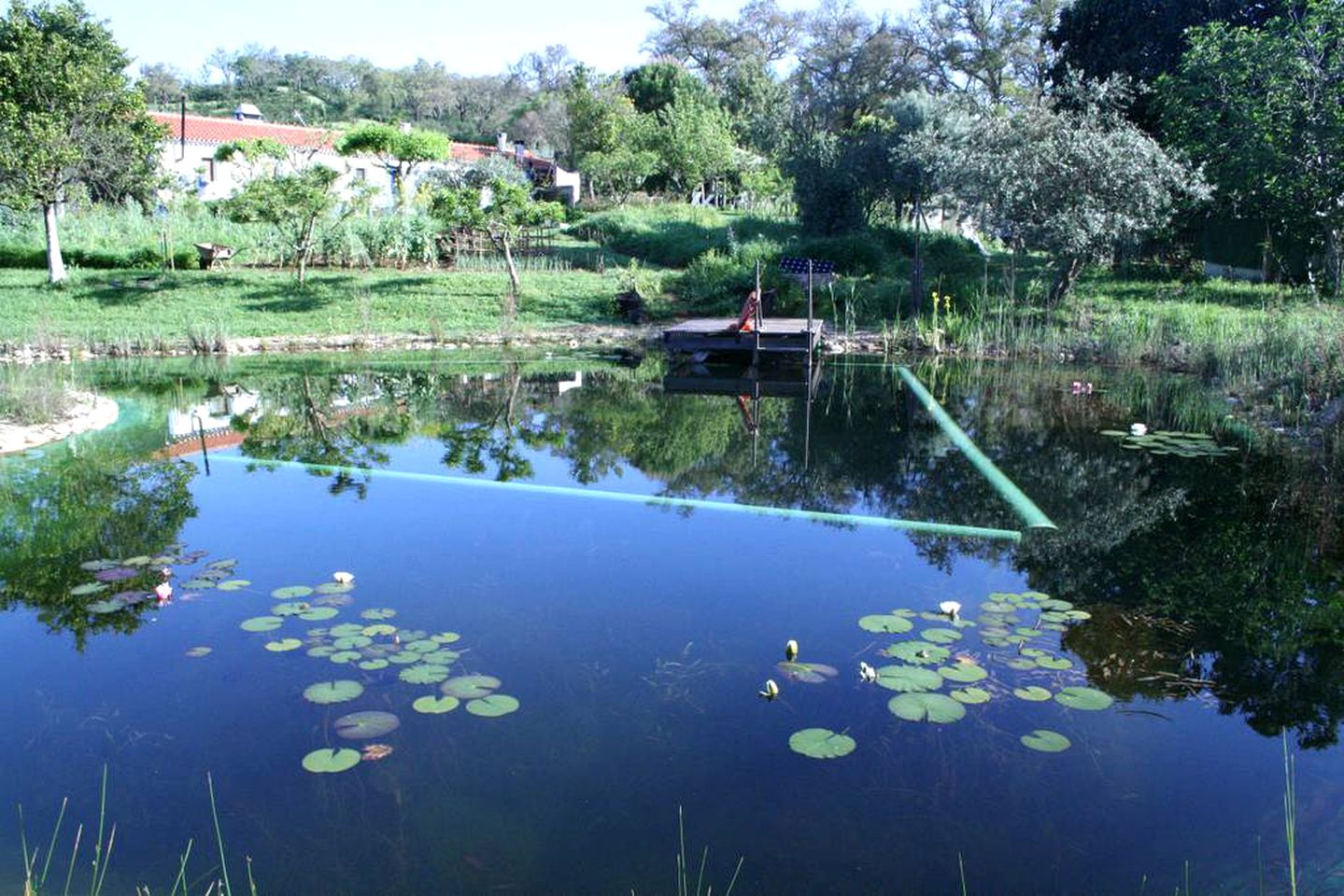 Wheelchair-Accessible Cabin Rental near the Mountains of the Alentejo Region, Portugal