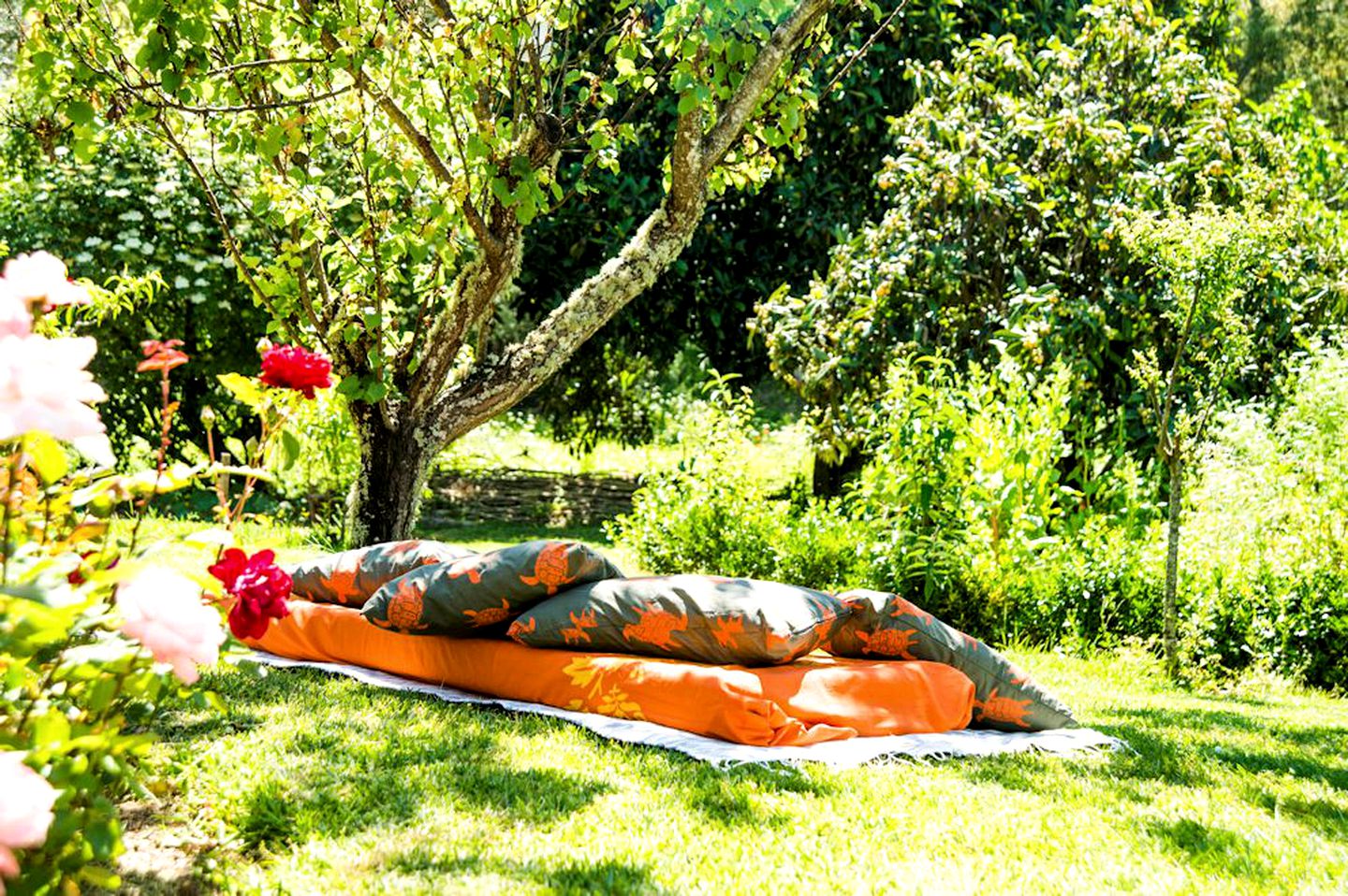 Wheelchair-Accessible Cabin Rental near the Mountains of the Alentejo Region, Portugal