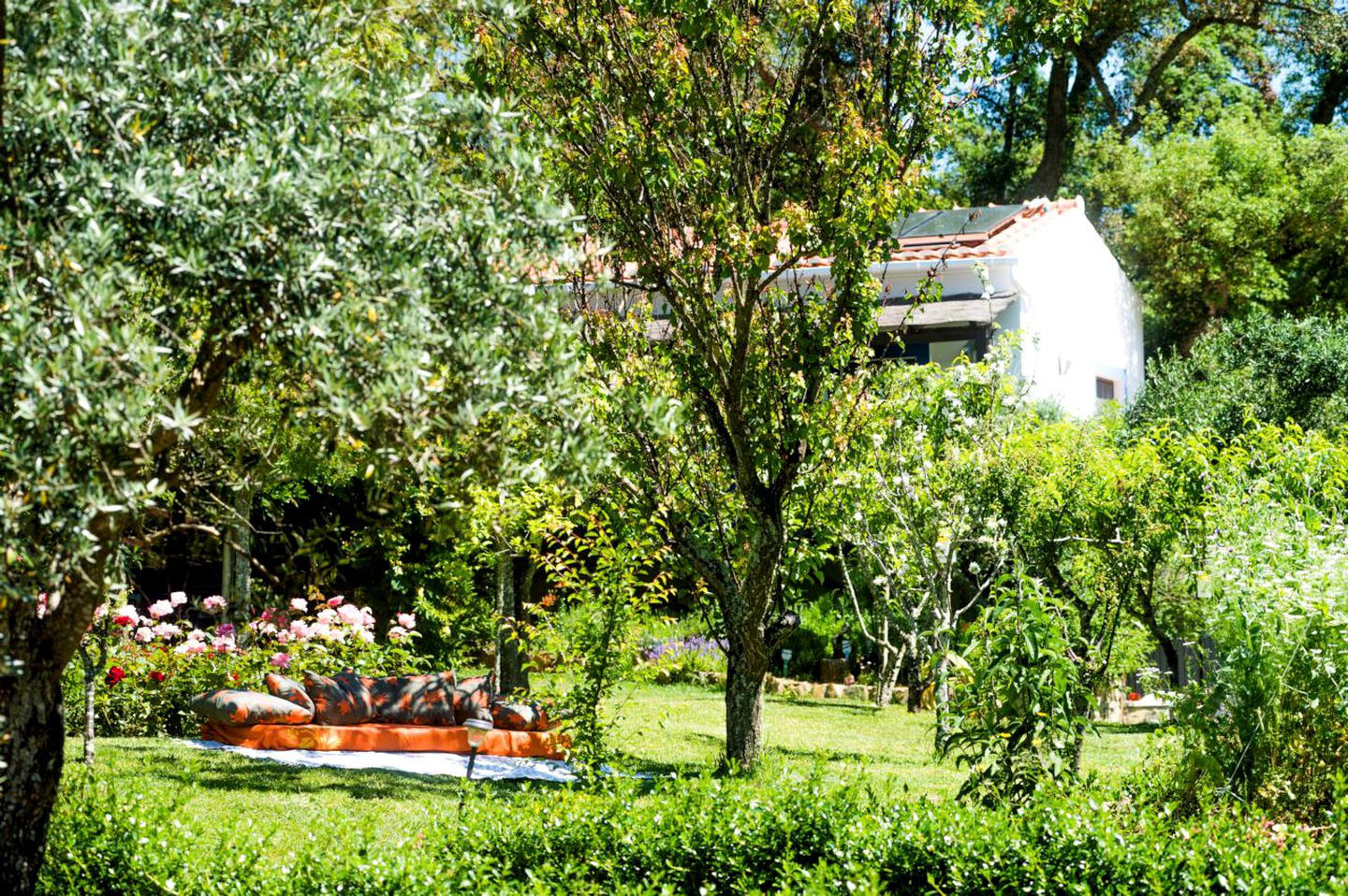 Wheelchair-Accessible Cabin Rental near the Mountains of the Alentejo Region, Portugal