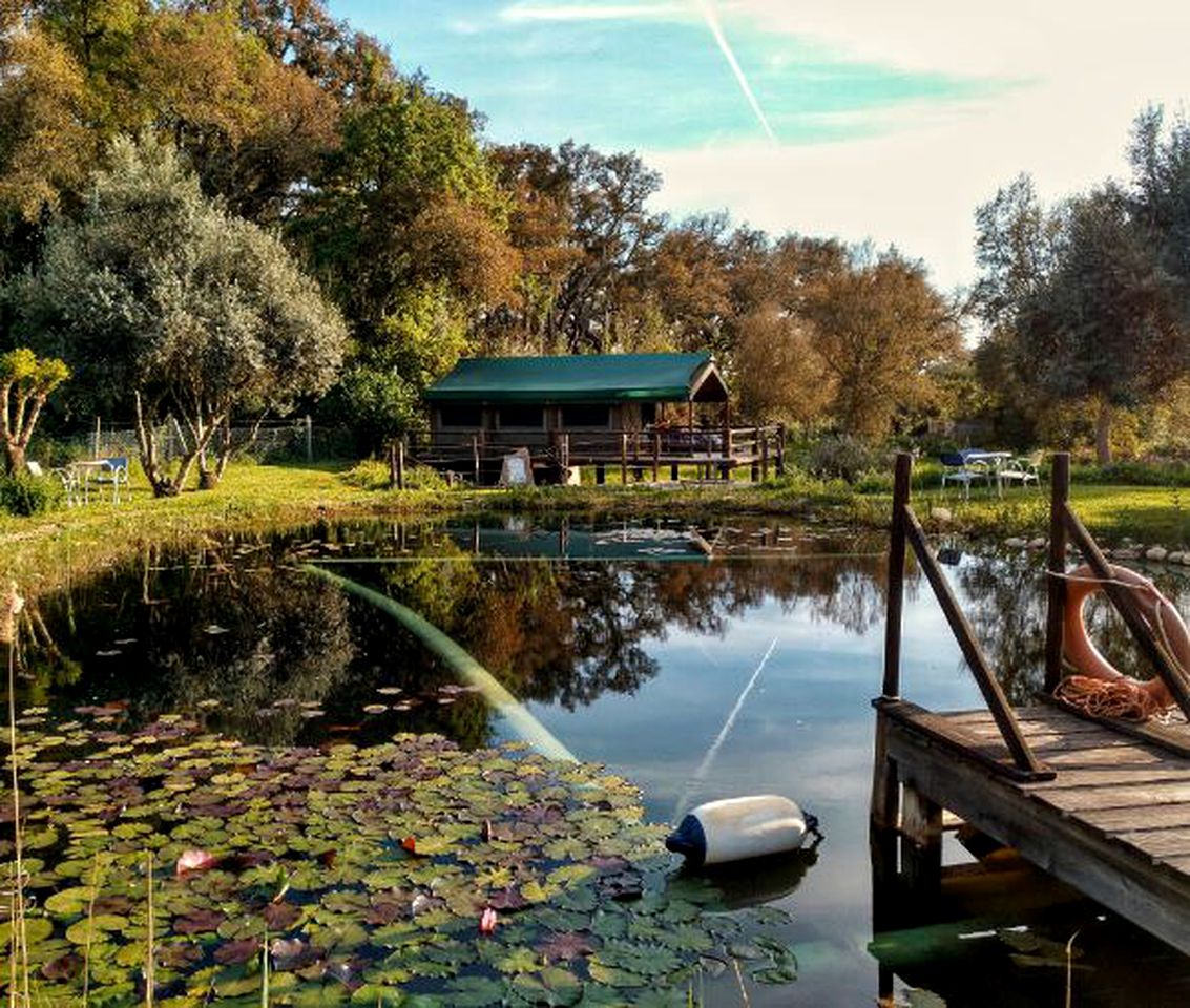 Wheelchair-Accessible Cabin Rental near the Mountains of the Alentejo Region, Portugal