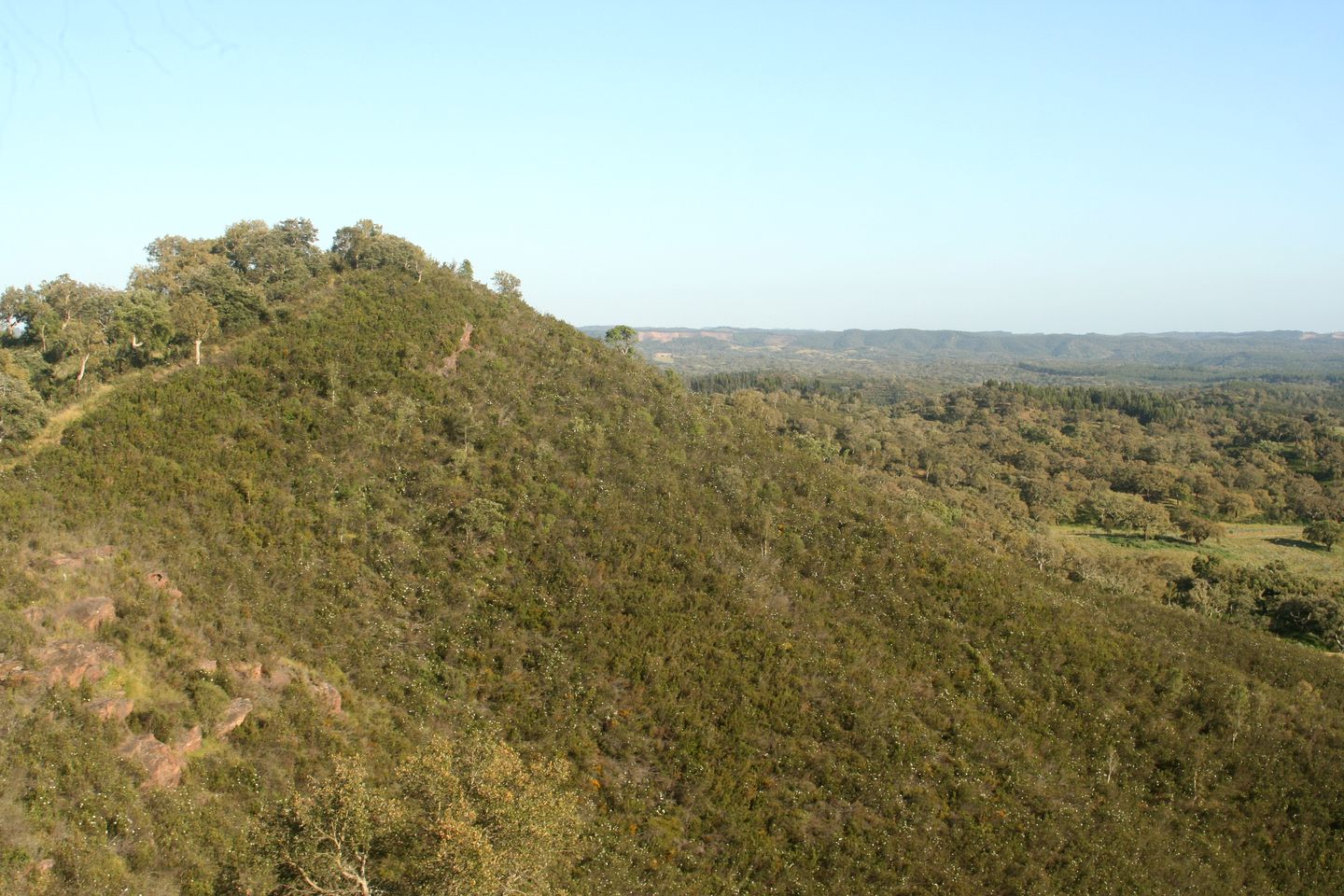 Wheelchair-Accessible Cabin Rental near the Mountains of the Alentejo Region, Portugal