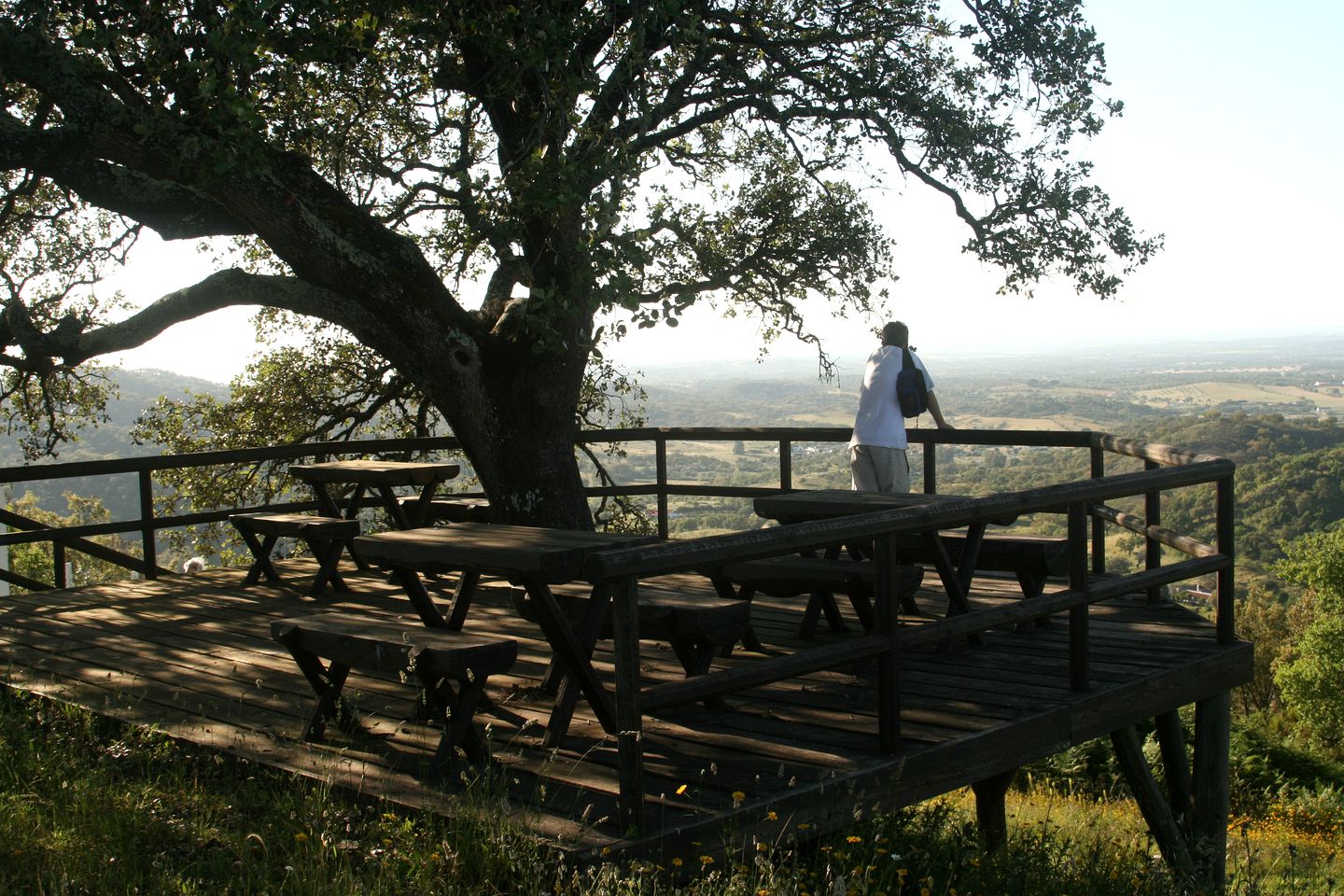 Wheelchair-Accessible Cabin Rental near the Mountains of the Alentejo Region, Portugal