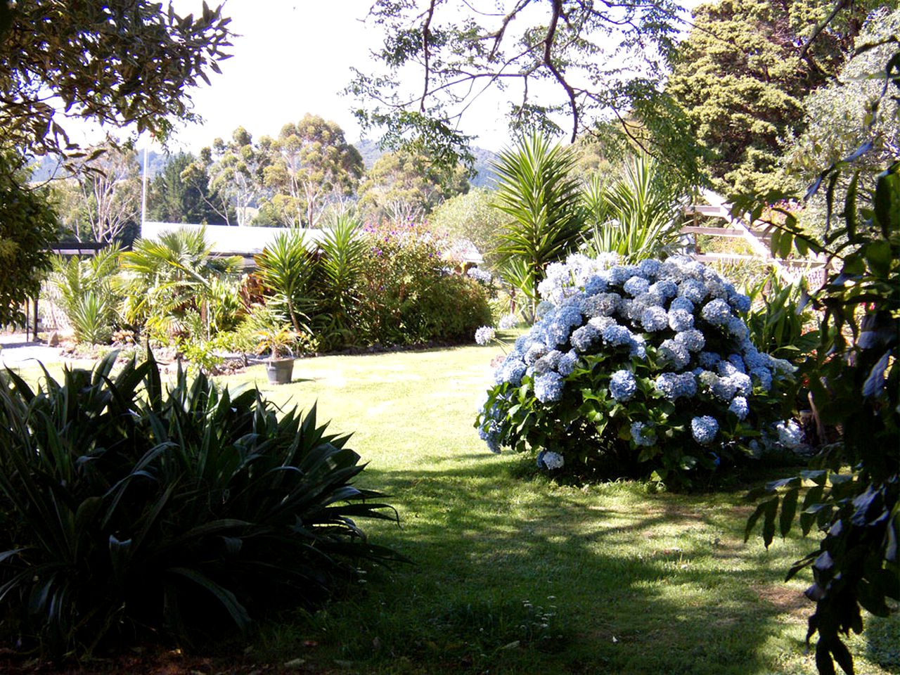 Gorgeous Cottage Rental in with Sub-Tropical Gardens near Kerikeri, Bay of Islands in New Zealand