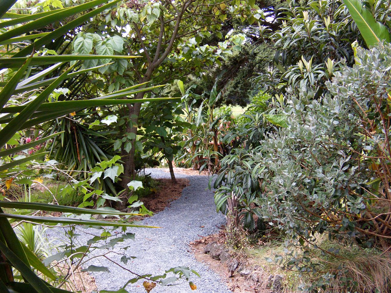 Gorgeous Cottage Rental in with Sub-Tropical Gardens near Kerikeri, Bay of Islands in New Zealand