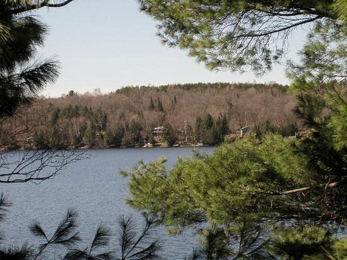 Cozy Vacation Rental with Outdoor Fireplace near Algonquin Provincial Park in Canada | Cabins (Algonquin Park, Ontario, Canada)