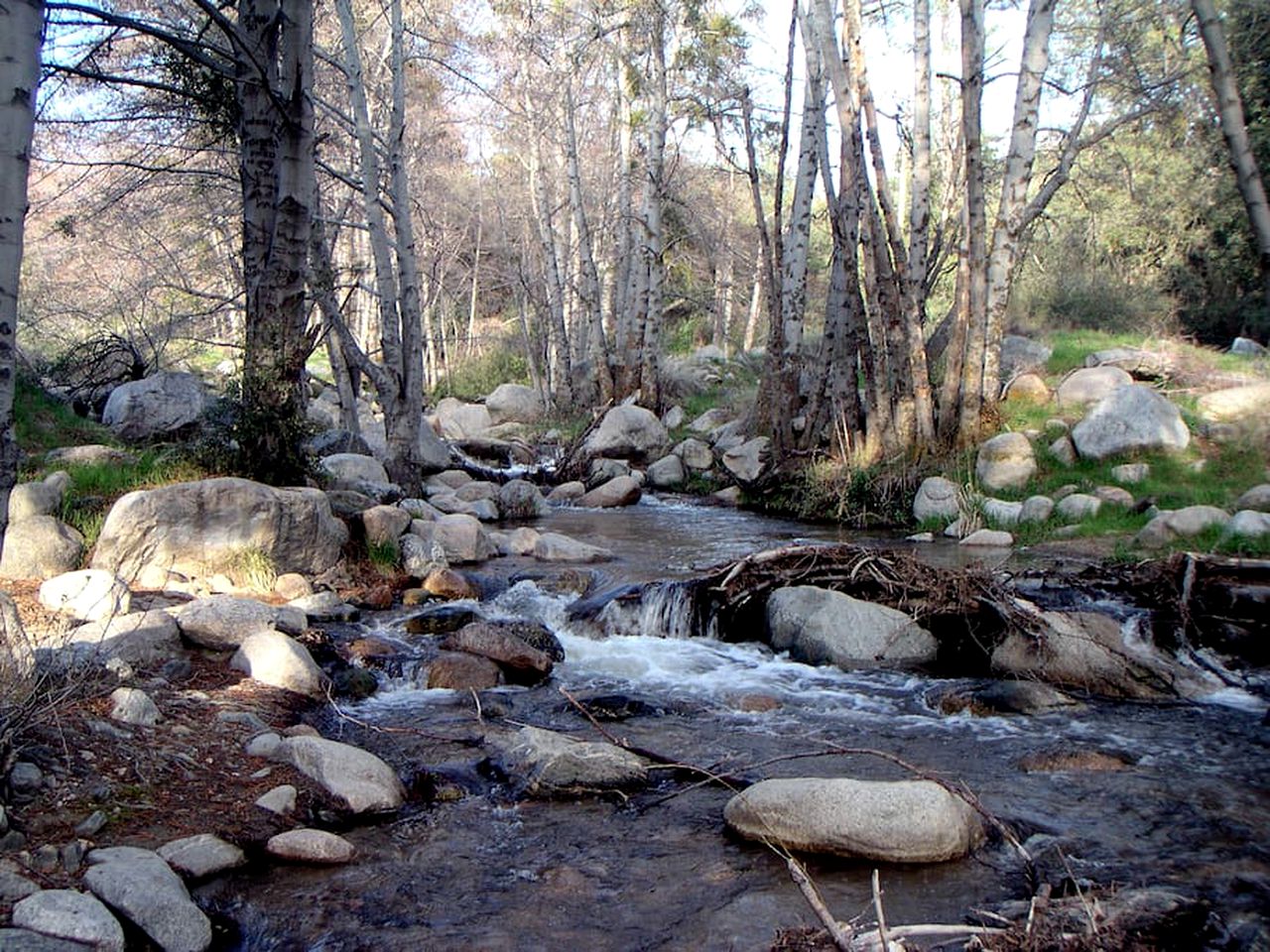 Secluded Cabin Rental Surrounded by Meadows in Big Bear City, California