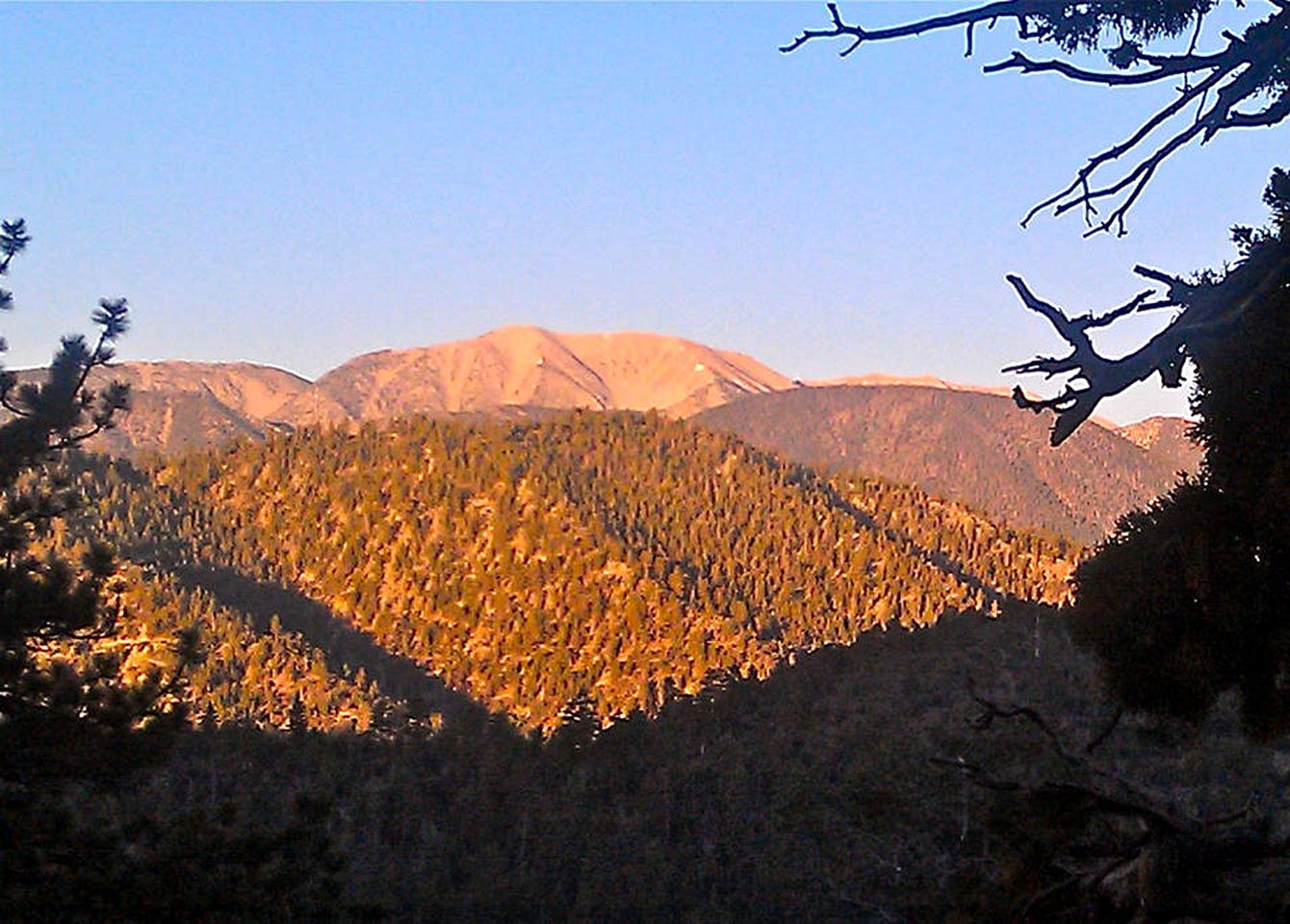 Secluded Cabin Rental Surrounded by Meadows in Big Bear City, California