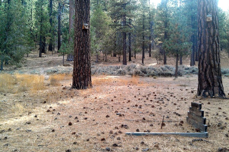 Cabins (Big Bear City, California, United States)