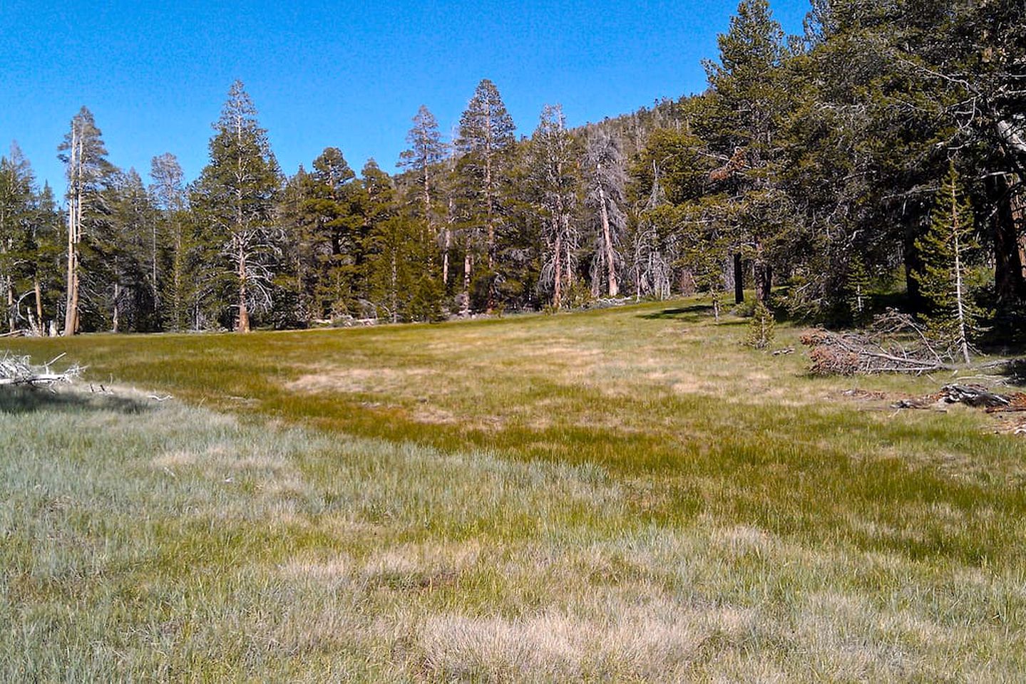 Secluded Cabin Rental Surrounded by Meadows in Big Bear City, California