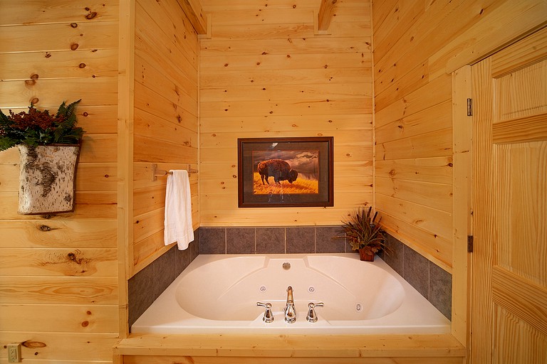 -- (United States, Gatlinburg, Tennessee)