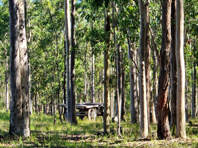 Tiny Houses (Australia, Girvan, New South Wales)