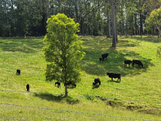 Tiny Houses (Australia, Girvan, New South Wales)