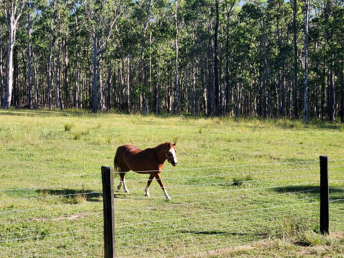 Tiny Houses (Australia, Girvan, New South Wales)